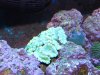 IMG_0338.JPG