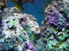 100_1462.jpg