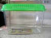 container%2013.jpg