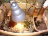 sump 001.JPG