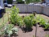 Garden 5-29-10b post.jpg