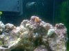 20100305_002.jpg