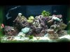 20100322_004.jpg