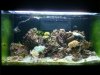 20100403_002.jpg