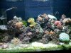 20100427_001.jpg