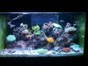 20100526_008.jpg