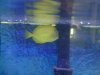 IMG00006-20100531-1027.jpg