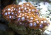 CRW_1343.jpg