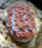CRW_1348.jpg