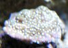 CRW_1350.jpg