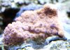 CRW_1353.jpg