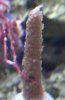 CRW_1363.jpg