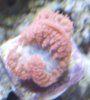 CRW_1365.jpg