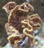 CRW_1373.jpg