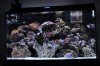 rsz_1dsc_0301.jpg