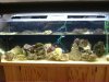 quick tank setup.JPG