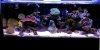 fts 02-26-10.JPG