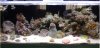 fts 6-1-10.JPG