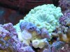 IMG_0423.JPG