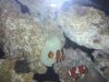 2010-06-05 00.56.27.jpg