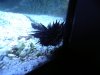 P5100048.JPG