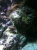 IMG_0641.jpg