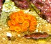 IMG_0464.JPG