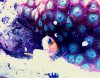 blenny.jpg
