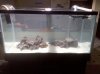 2010-05-11 22.17.46.jpg