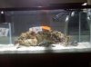 2010-05-16 18.38.20.jpg