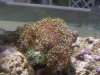 2010-06-16 20.23.26.jpg