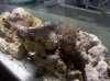 2010-06-16 20.24.11.jpg