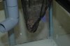 DSC_1686.jpg