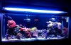 fts.jpg