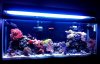 fts.jpg