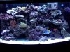 IMG00011-20100701-1958.jpg