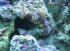 IMG_0052.jpg