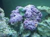 IMG_0053.jpg