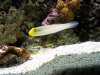100_0126.JPG