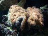 100_0131.JPG