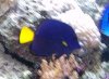 100_0137.JPG