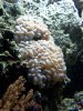 100_0144.JPG
