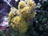 100_0139.JPG