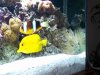 100_0130.JPG