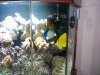 100_0172.JPG