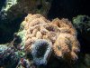 100_0203.JPG