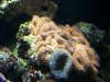 100_0204.JPG