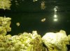 100_0182.JPG