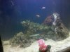 2010-07-19 20.47.47.jpg