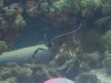2010-07-19 20.47.59.jpg